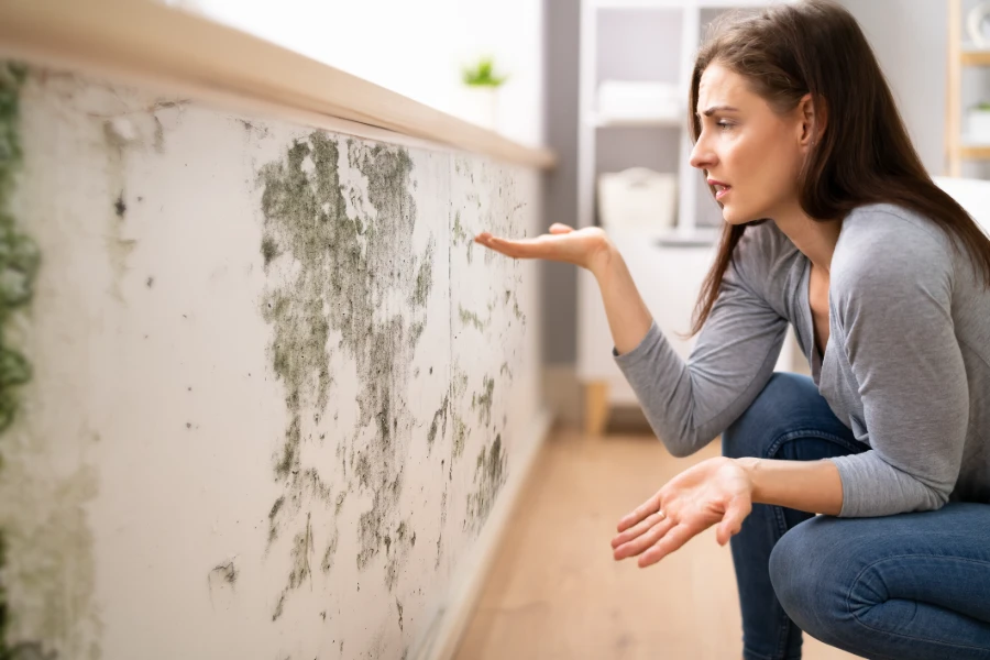 Professional Environmental Consulting