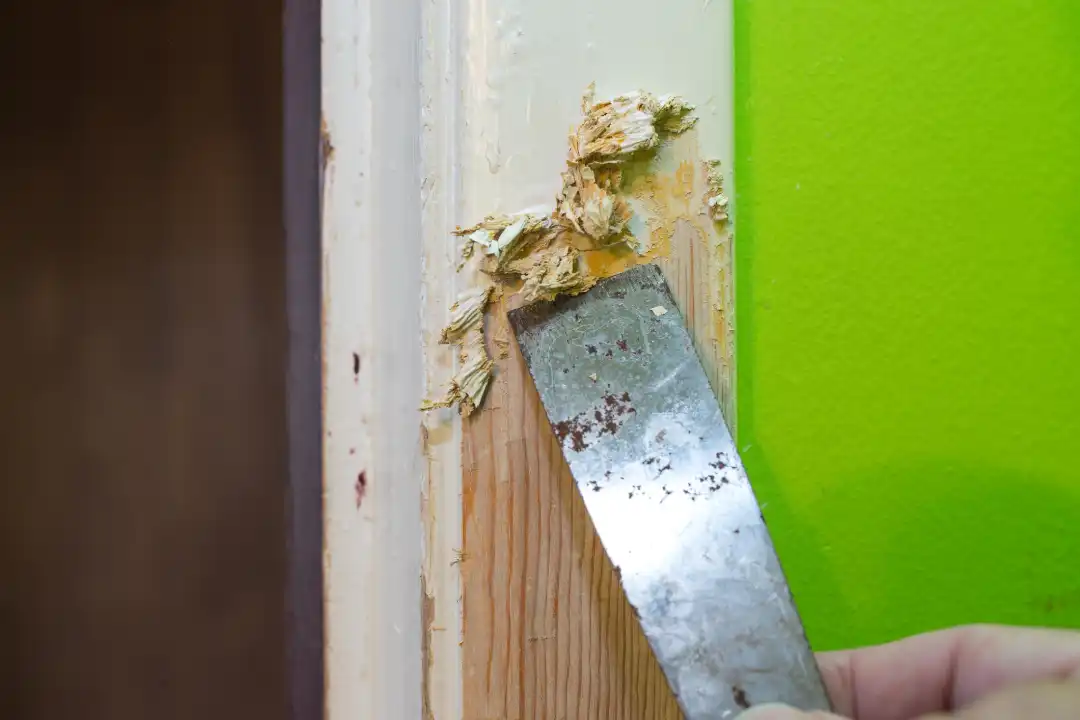 Health Risks of Lead Dust During Paint Removal Projects in Smyrna, GA