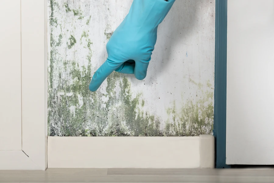 How Mold Inspections Improve Indoor Air Quality Smyrna, GA
