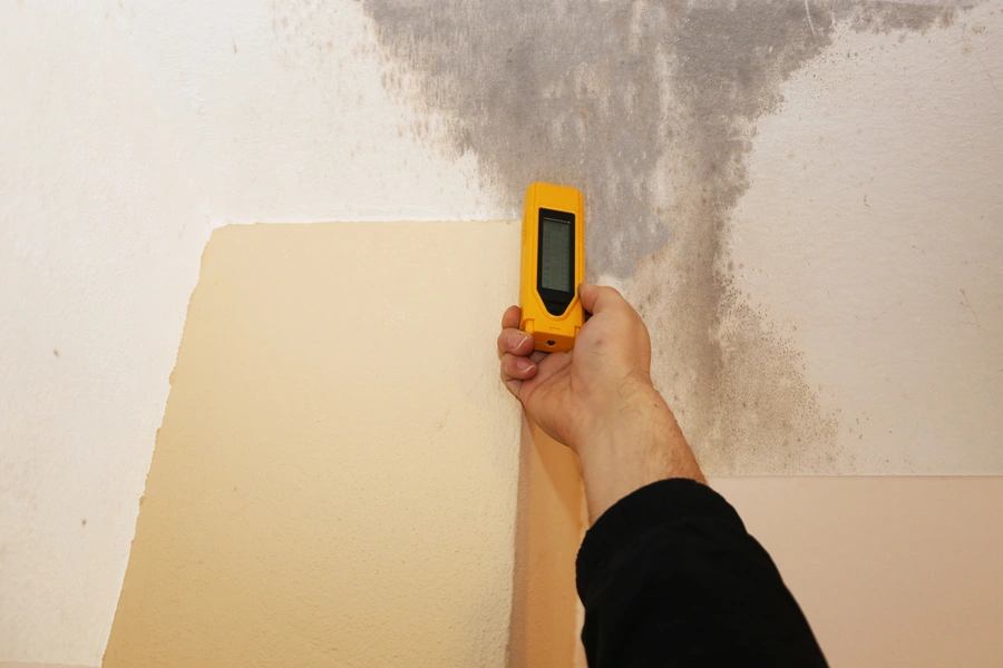 Signs You May Need A Professional Mold Inspection Smyrna, GA