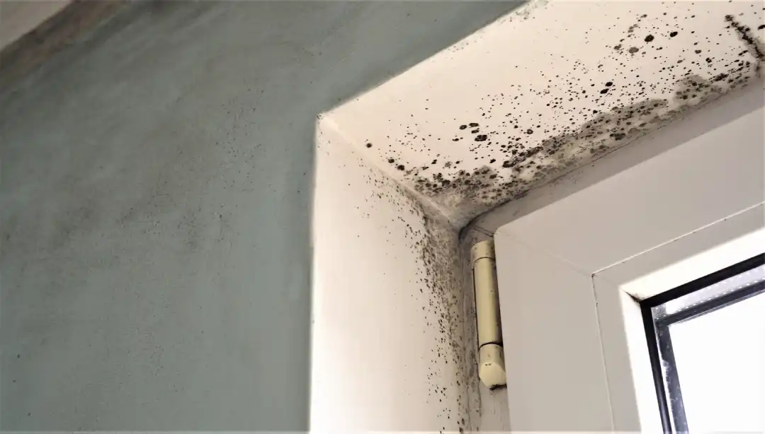 The Health Risks of Undetected Asbestos in Homes Smyrna, GA