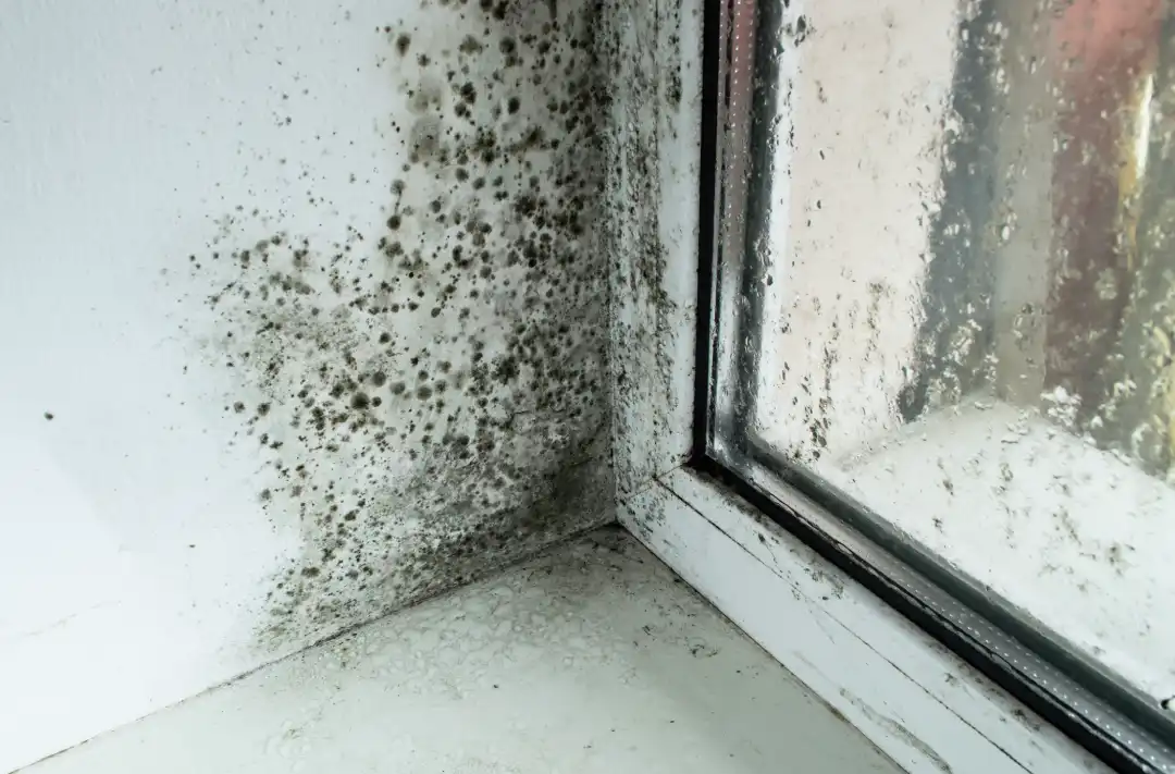 The Health Risks of Undetected Asbestos in Homes in Smyrna, GA